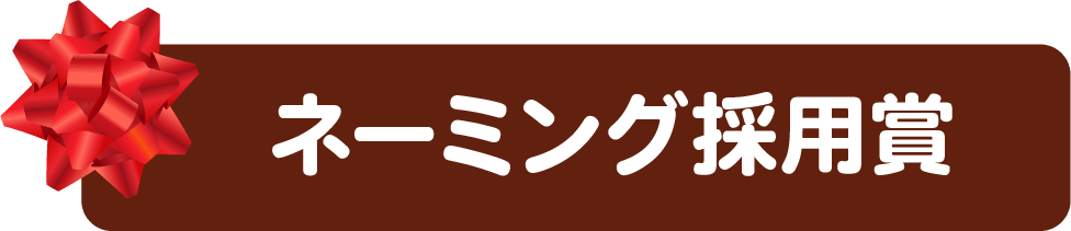 名前が決まりました！