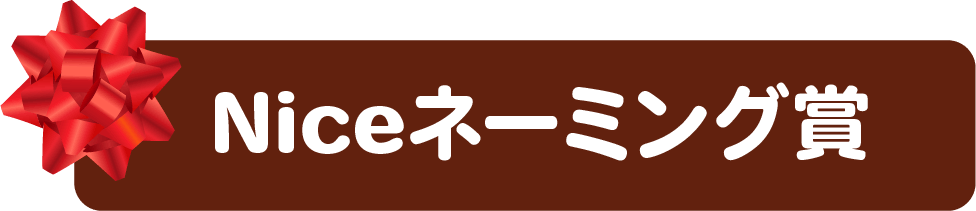 名前が決まりました！